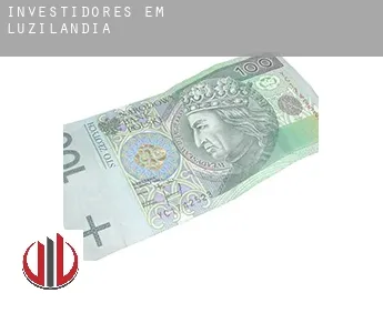 Investidores em  Luzilândia