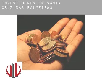 Investidores em  Santa Cruz das Palmeiras