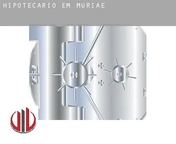 Hipotecário em  Muriaé