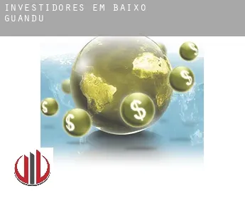 Investidores em  Baixo Guandu